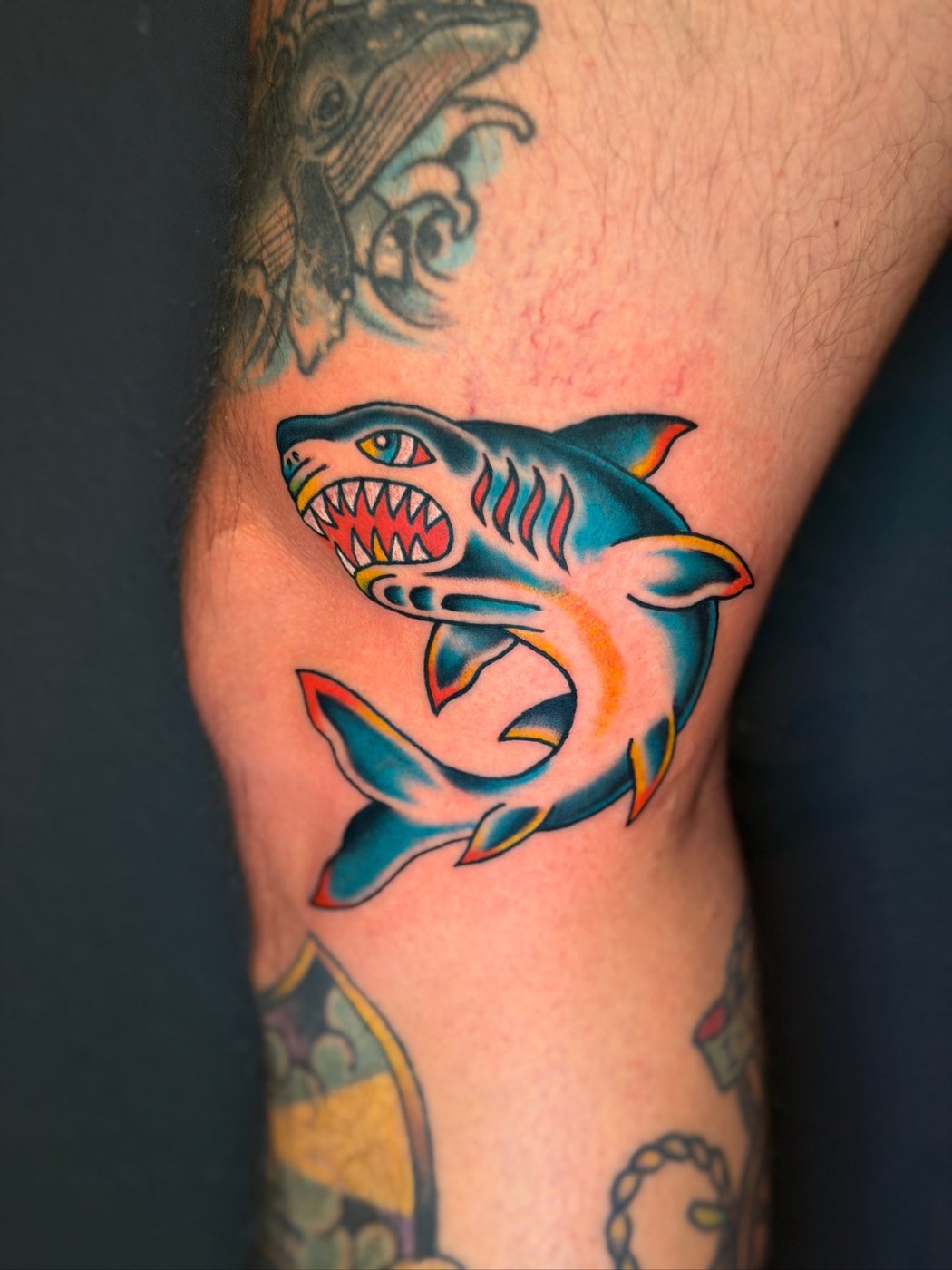 Traditional shark tattoo